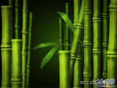 Photoshop绘制一张葱茏的竹林壁纸