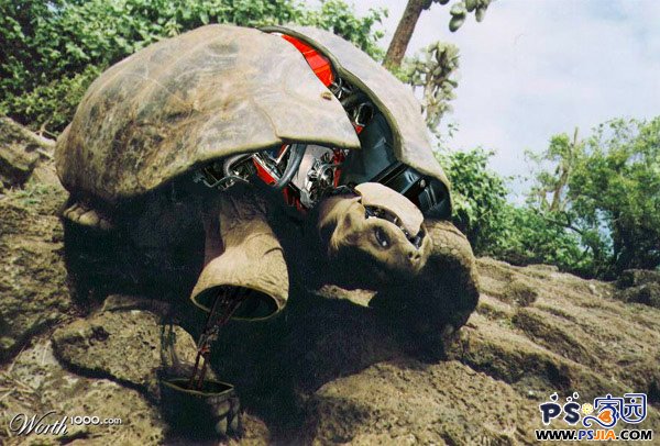 ps移花接木大法: 26个出色的动物机器人(2)_P