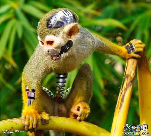 ps移花接木大法: 26个出色的动物机器人(2)_P