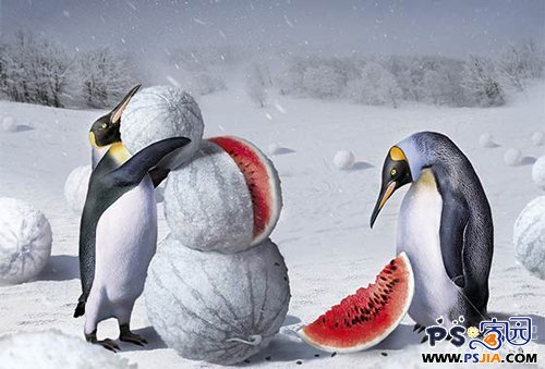 超强的Photoshop创意<em>照片处理艺术</em>作品欣赏(2