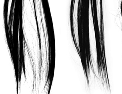 真实感的头发笔刷