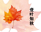 何谓设计?一叶知秋,浅析中国设计现状