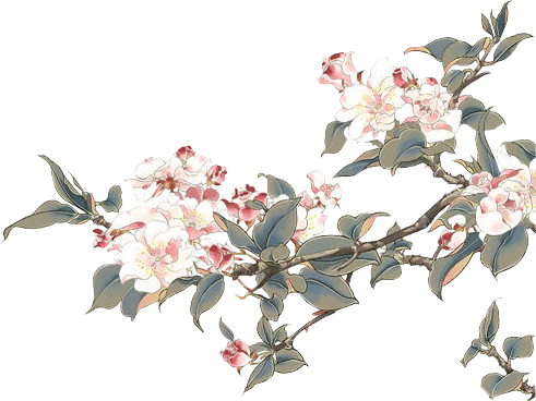 Png素材 古风 花 素材收集 Greyun S 喵子屋