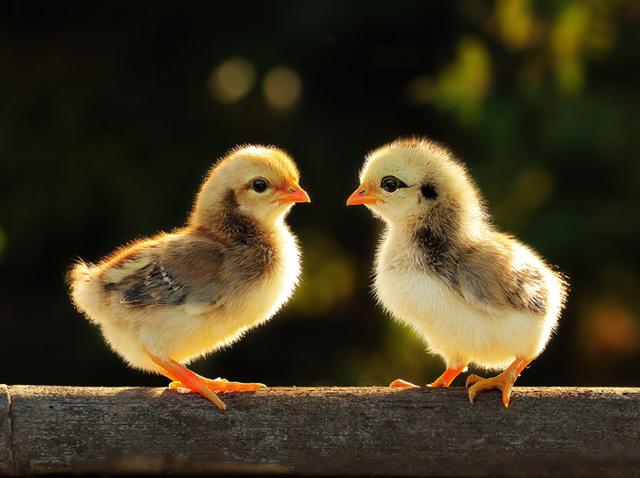 自然风光摄影作品欣赏_PS家园网