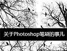 有关PS笔刷的那些事儿