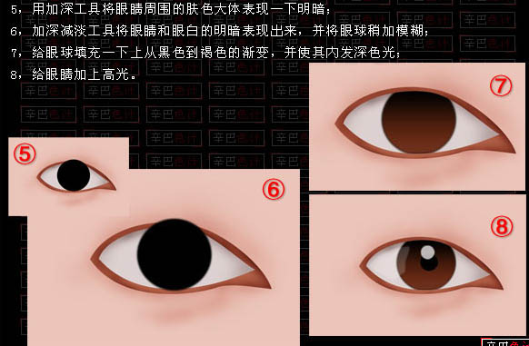 眼睛的构造形状角度和透视等等鼠绘相关问题_PS家园网