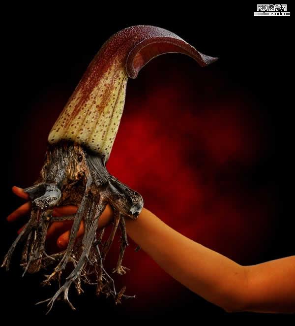 幻想的花卉生物