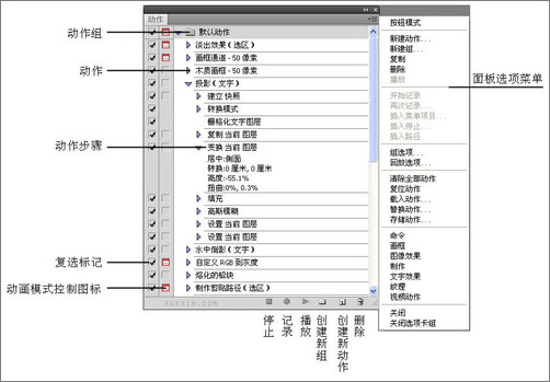 动作入门