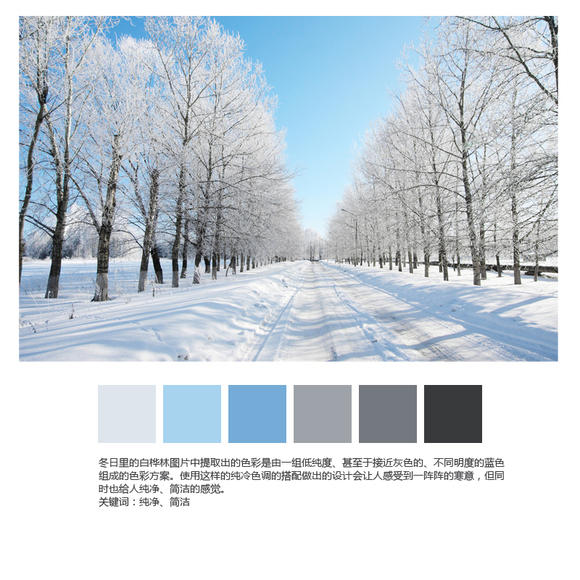 10个从图片中提取的色彩方案