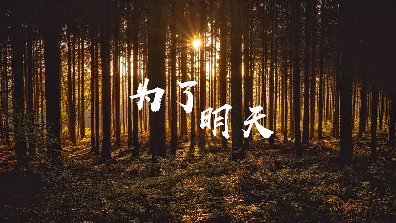 图文设计PPT字体排版设计教程