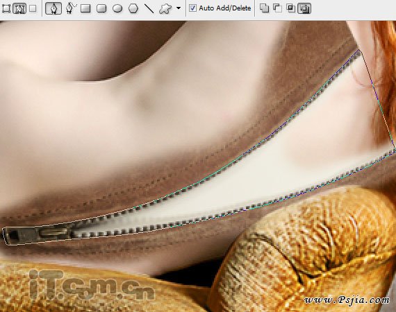 Photoshop合成一只性感漂亮的花妖