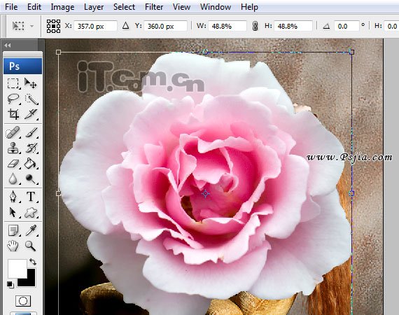 Photoshop合成一只性感漂亮的花妖