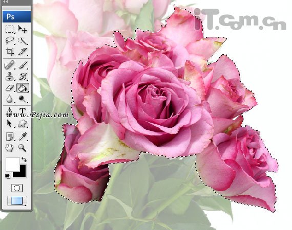 Photoshop合成一只性感漂亮的花妖