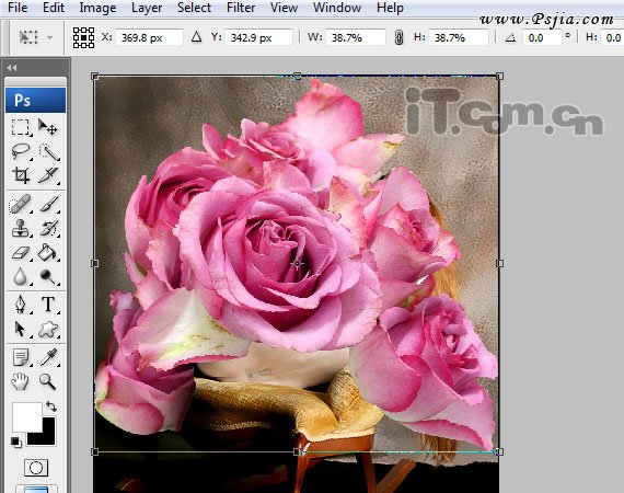 Photoshop合成一只性感漂亮的花妖