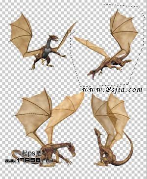 飞龙 中世纪 神话 ps教程