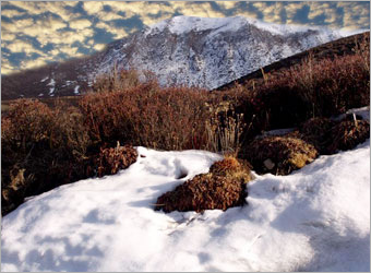 PS合成站在雪地中的天使人物照片