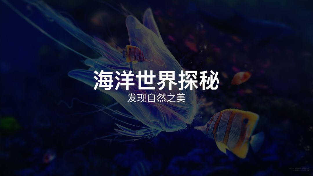 PPT排版的8大神奇法则 PPT排版的8大神奇法则