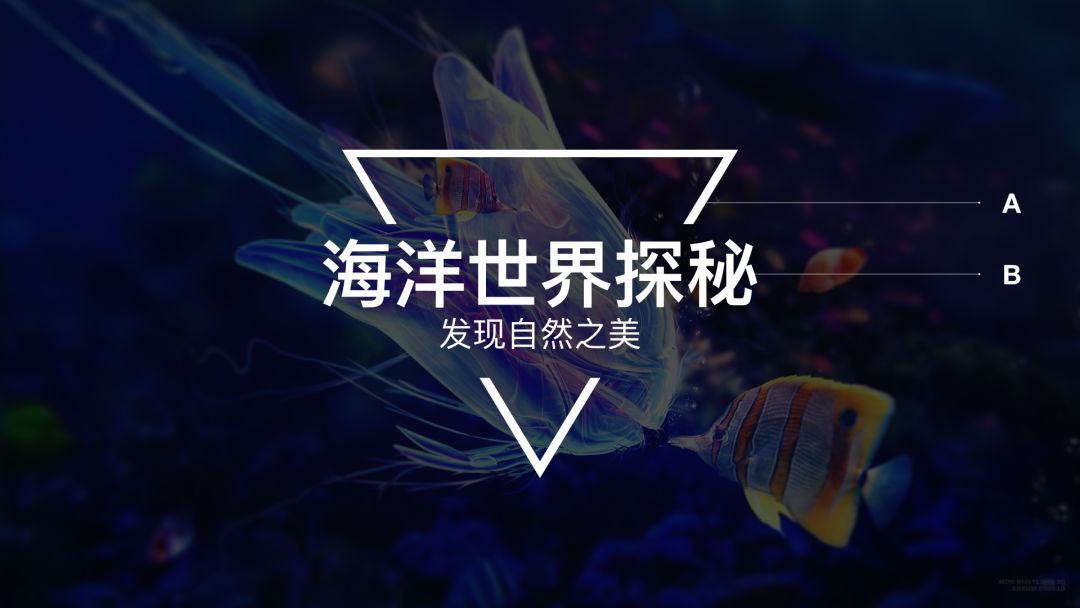 PPT排版的8大神奇法则 PPT排版的8大神奇法则