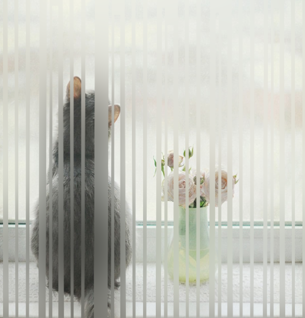 Photoshop制作雨后玻璃水珠流动效果,PS教程,PS家园网