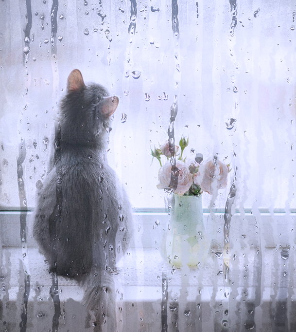 Photoshop制作雨后玻璃水珠流动效果,PS教程,PS家园网