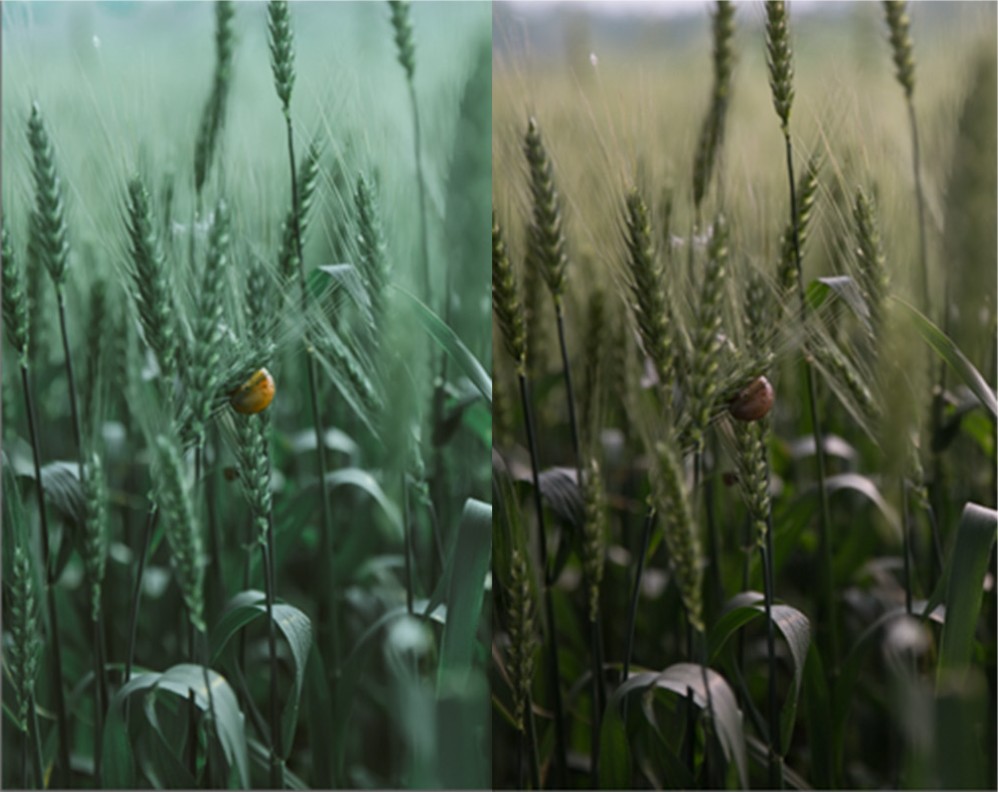 Photoshop制作绿色主题的手机壁纸,PS教程,PS家园网