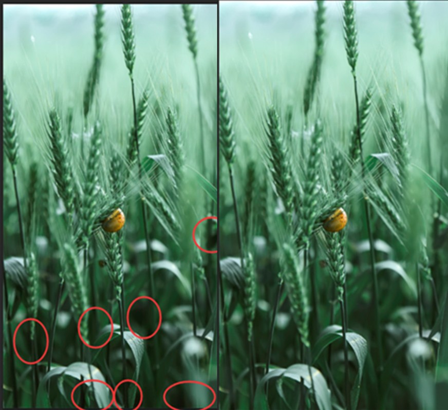 Photoshop制作绿色主题的手机壁纸,PS教程,PS家园网
