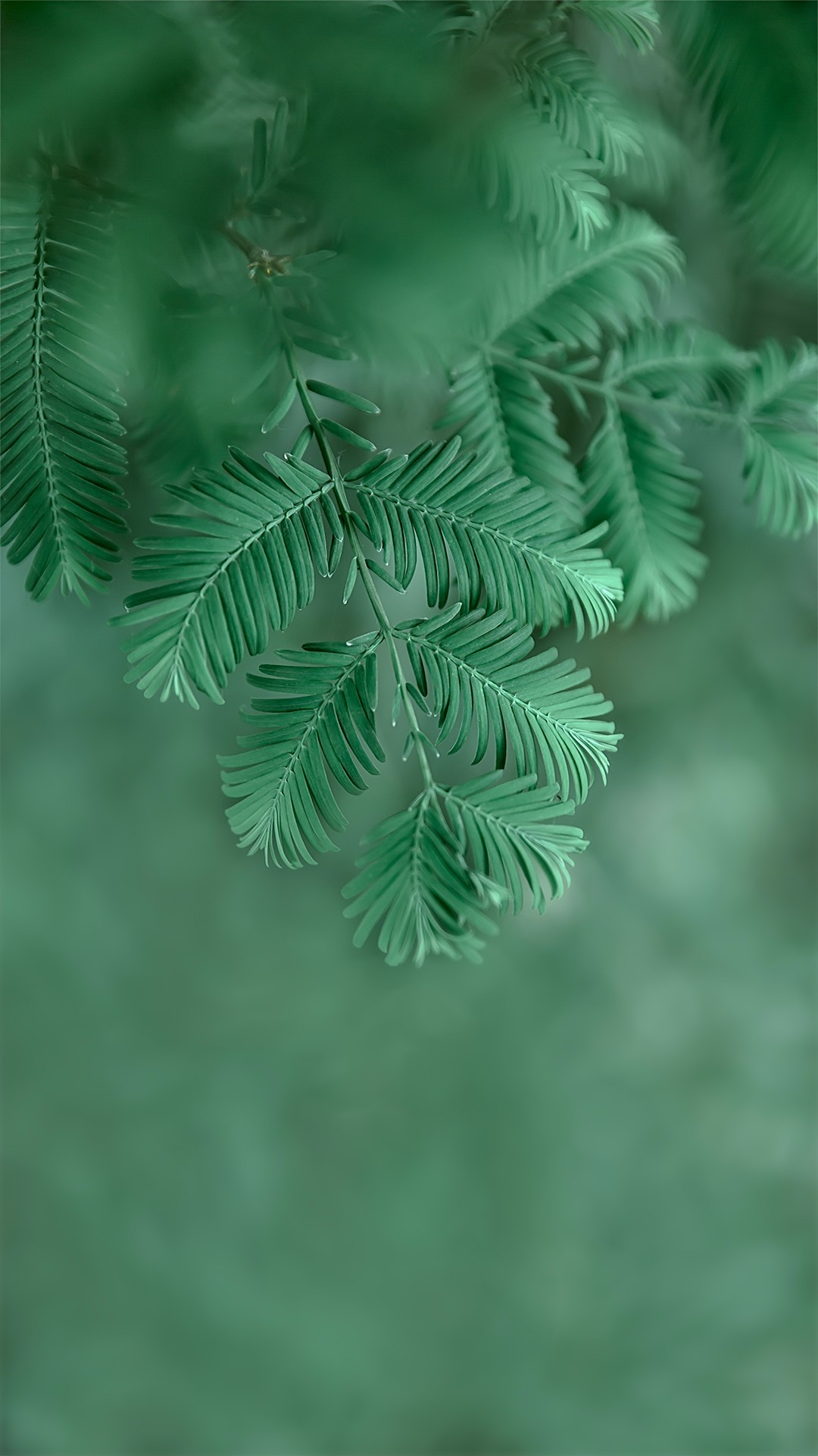 Photoshop制作绿色主题的手机壁纸,PS教程,PS家园网