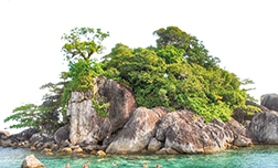 Photoshop合成创意的橙汁饮料海报教程,PS教程,PS家园网