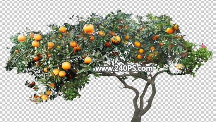 Photoshop合成时尚大气的汇源果汁宣传海报,PS教程,PS家园网