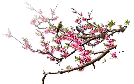 Photoshop合成中式园林黄昏美景效果,PS教程,PS家园网