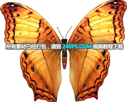 Photoshop合成蓝色风格的蝴蝶仙子出生场景,PS教程,PS家园网