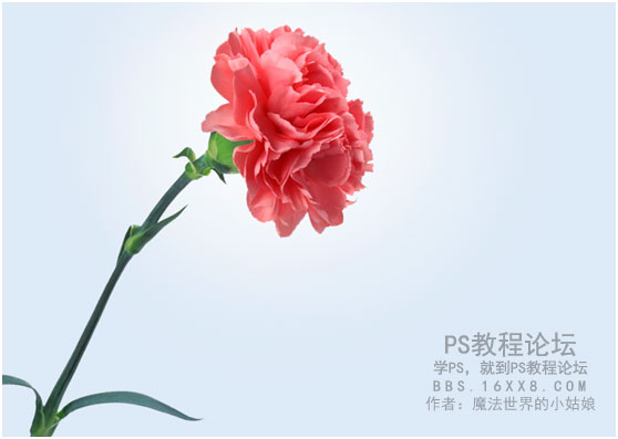 Photoshop制作时尚风格的眼镜广告教程,PS教程,PS家园网