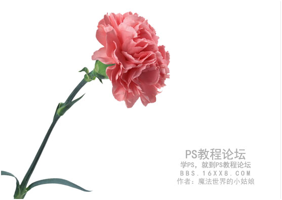 Photoshop制作时尚风格的眼镜广告教程,PS教程,PS家园网
