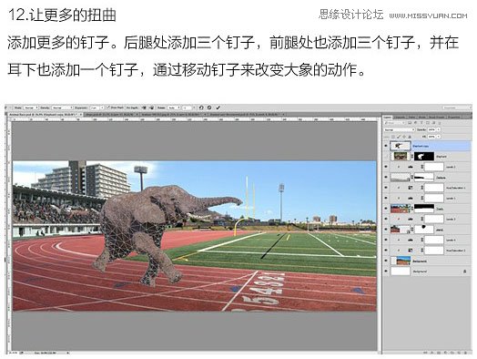 Photoshop合成创意的动物赛跑场景图,PS教程,PS家园网