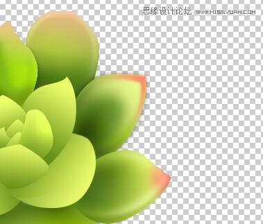 Photoshop详解多肉植物拟物化ICON绘制,PS教程,PS家园网