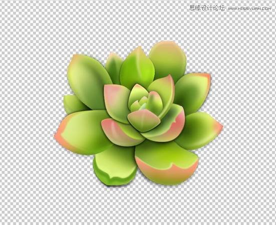 Photoshop详解多肉植物拟物化ICON绘制,PS教程,PS家园网