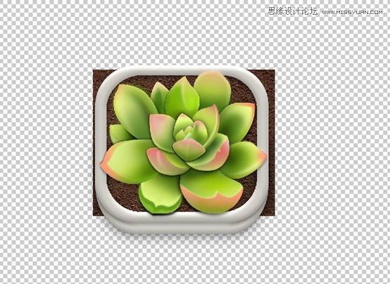 Photoshop详解多肉植物拟物化ICON绘制,PS教程,PS家园网