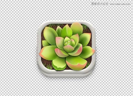 Photoshop详解多肉植物拟物化ICON绘制,PS教程,PS家园网