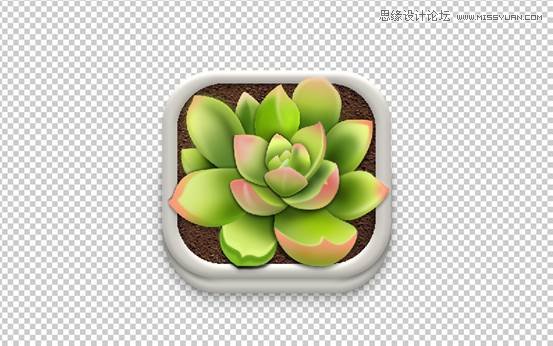 Photoshop详解多肉植物拟物化ICON绘制,PS教程,PS家园网