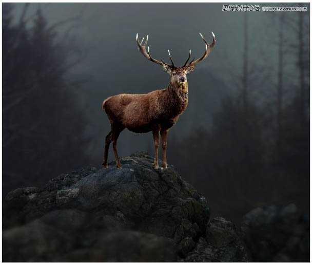 Photoshop合成头顶火焰燃烧效果的森林鹿王