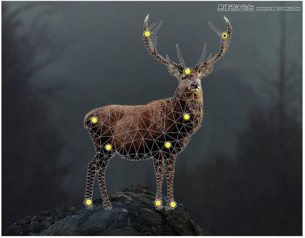 Photoshop合成头顶火焰燃烧效果的森林鹿王