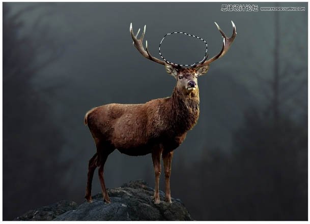 Photoshop合成头顶火焰燃烧效果的森林鹿王