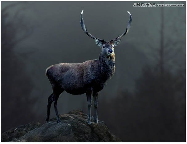 Photoshop合成头顶火焰燃烧效果的森林鹿王