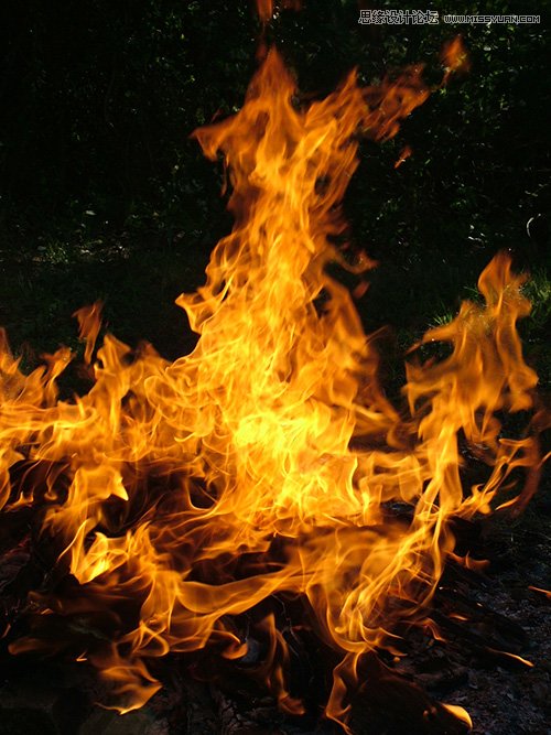 Photoshop合成头顶火焰燃烧效果的森林鹿王