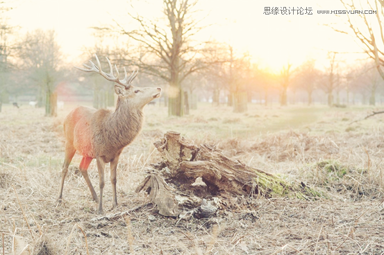 Photoshop修复细节严重缺失的风景照片