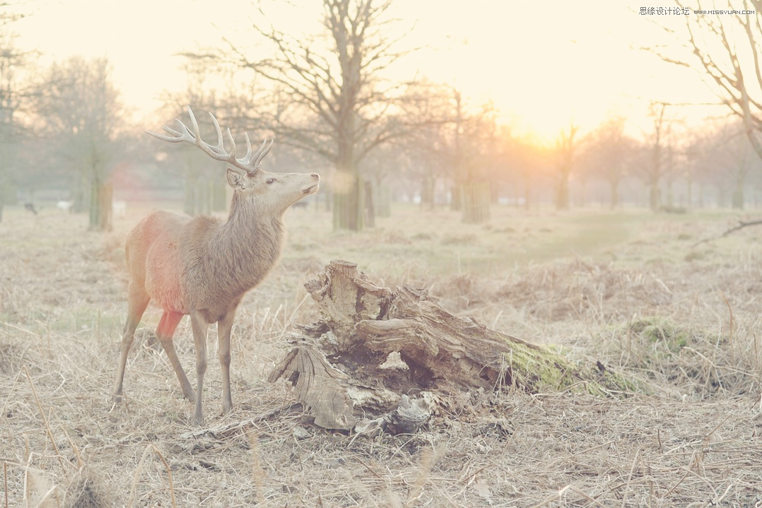 Photoshop修复细节严重缺失的风景照片