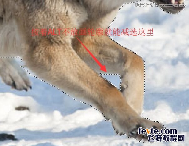 Photoshop合成从冰雪中冲出的狼特效