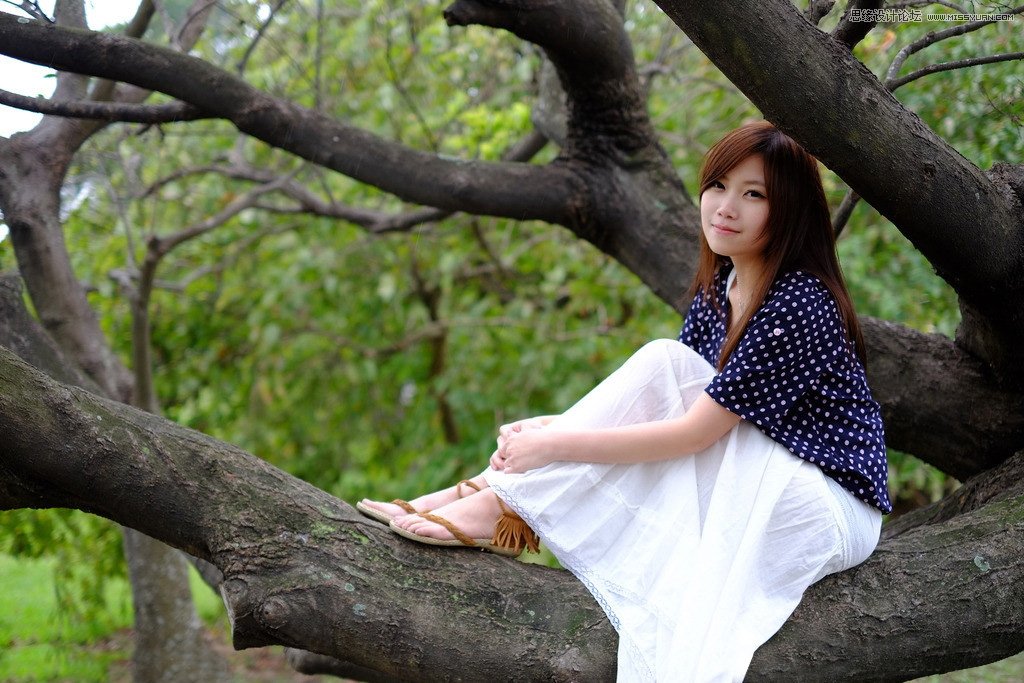 Photoshop给树上美女人像添加唯美逆光效果