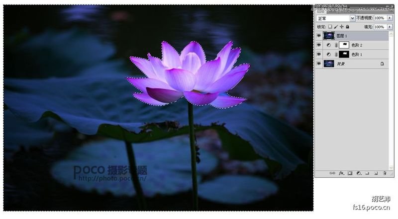 Photoshop为夏日荷花图调出清新高雅色调