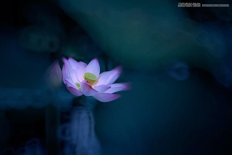 Photoshop为夏日荷花图调出清新高雅色调